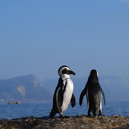 Penguin Haven . Luxury 2 Bedroom, Boulders Beach. Cidade Do Cabo Exterior foto